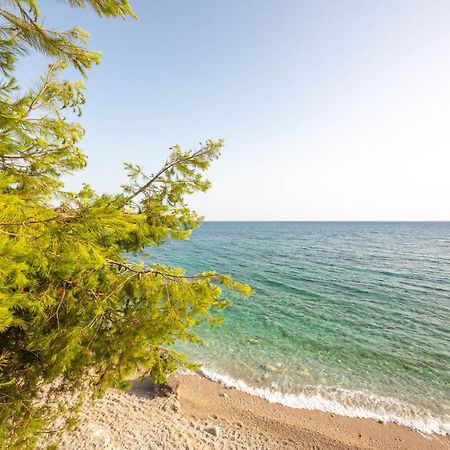 ديرمي Lodges Shen Nikolla المظهر الخارجي الصورة